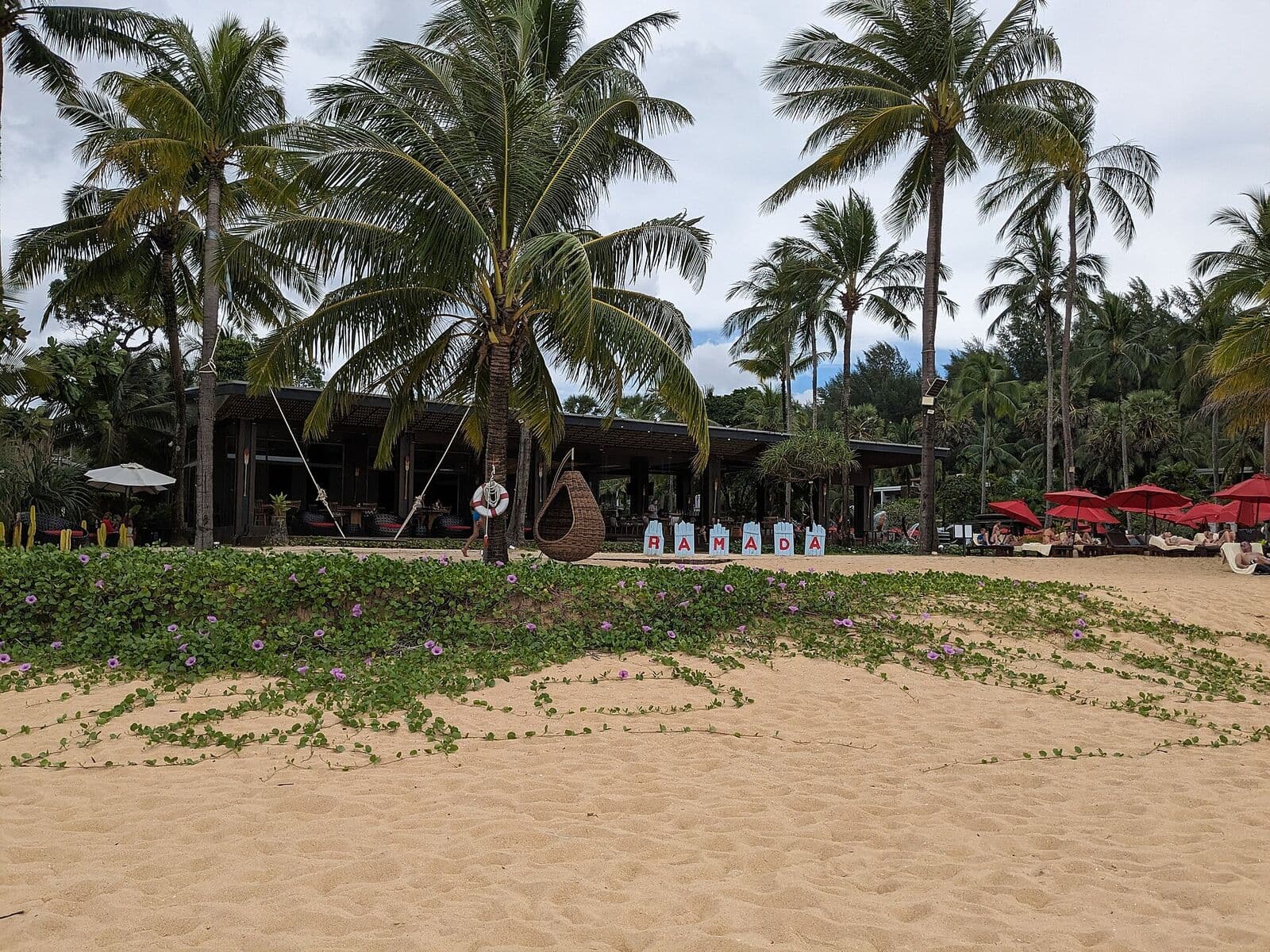 Ramada Resort Khao Lak beach bar and red parasols behind the dune vines on Bang Niang Beach