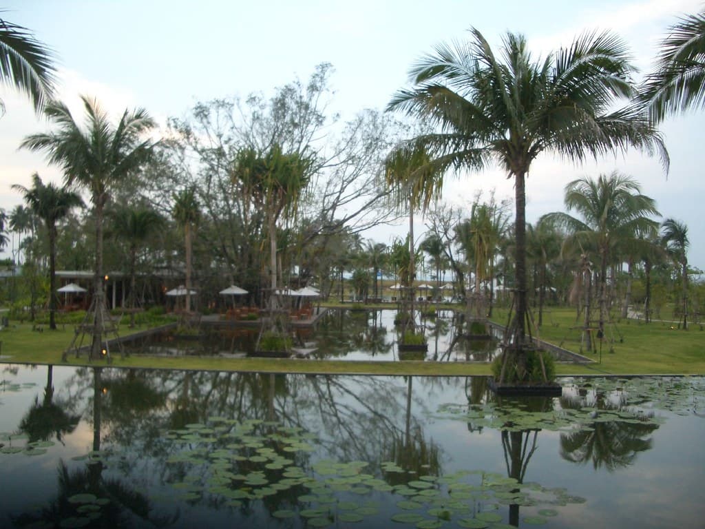 Palms reflected in the lily ponds in the grounds of The Sarojin